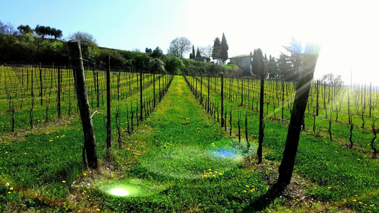 Agriturismo La Guarda Picedo 외부 사진