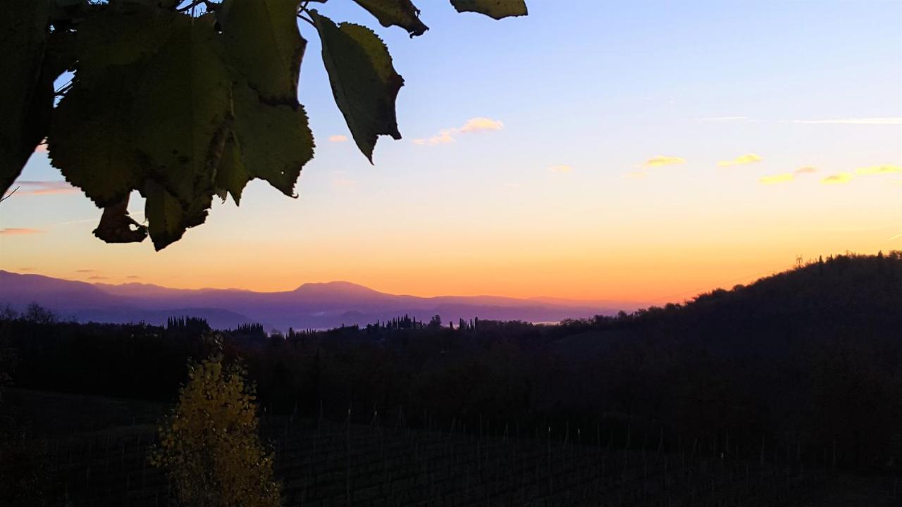 Agriturismo La Guarda Picedo 외부 사진
