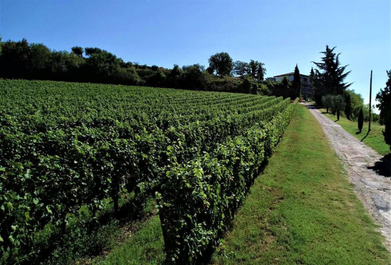 Agriturismo La Guarda Picedo 외부 사진