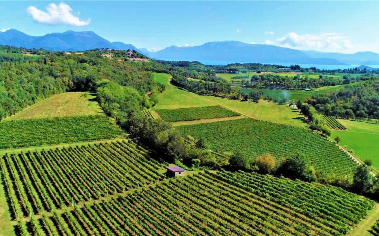 Agriturismo La Guarda Picedo 외부 사진